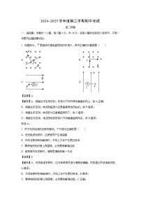 【物理】甘肃省多校2024-2025学年高二下学期期中联考试卷（解析版）