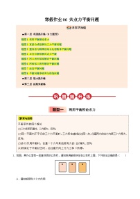 【暑假培优练】06 共点力平衡问题 -2025年高一物理暑假衔接讲练 (人教版)（含答案）