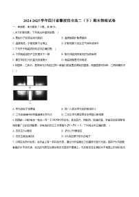 2024-2025学年四川省攀枝花市高二（下）期末物理试卷（含解析）