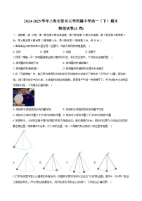 2024-2025学年上海市复旦大学附属中学高一（下）期末物理试卷(A卷)（含解析）
