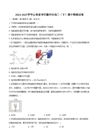 2024-2025学年山东省枣庄滕州市高二（下）期中物理试卷（含答案）