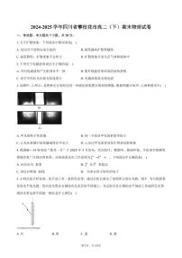 2024-2025学年四川省攀枝花市高二（下）期末物理试卷（含解析）