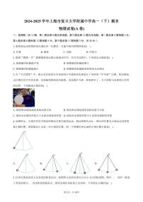 2024-2025学年上海市复旦大学附属中学高一（下）期末物理试卷(A卷)（含解析）