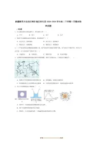 2024～2025学年新疆喀什地区莎车县高二下7月期末考试物理试卷(含答案)