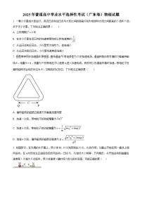 2025年高考广东卷物理高考真题+解析（参考版）（部分试题）