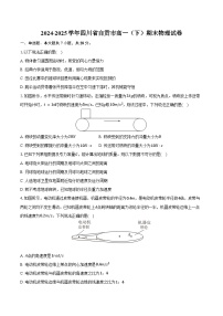 2024-2025学年四川省自贡市高一（下）期末物理试卷（含答案）