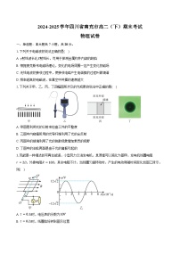 2024-2025学年四川省南充市高二（下）期末物理试卷（含答案）