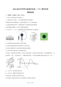 2024-2025学年四川省南充市高二（下）期末物理试卷（含答案）