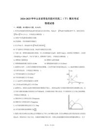 2024-2025学年山东省青岛市胶州市高二（下）期末物理试卷（含答案）