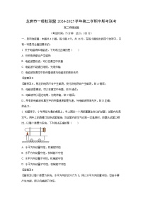 福建省龙岩市一级校2024-2025学年高二下学期4月期中物理试题（解析版）