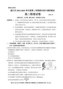 广东湛江2024-2025学年高二下学期期末调研考试物理试卷（含答案）