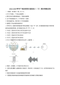 2024-2025学年广东省深圳市某校高二（下）期末物理试卷（含答案）