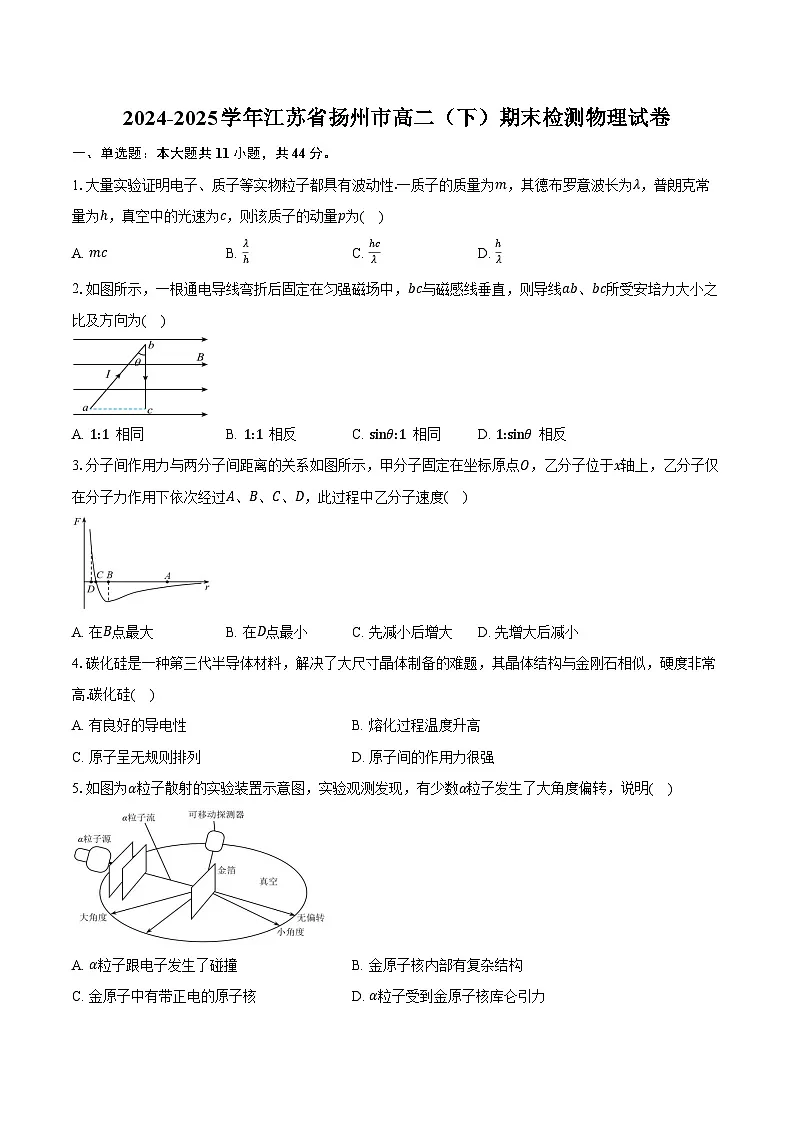 2024-2025学年江苏省扬州市高二(下)期末检测物理试卷(含解析)第1页