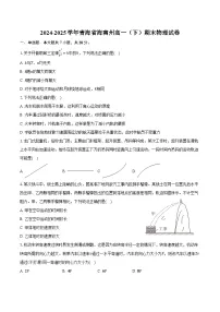 2024-2025学年青海省海南州高一(下)期末物理试卷(含解析)