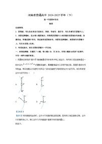 河南省部分高中2024-2025学年高一下学期期末考试物理试题（解析版）