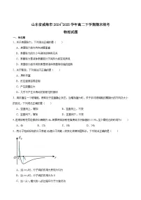 山东省威海市2024-2025学年高二下学期期末考试物理试题（Word版附答案）