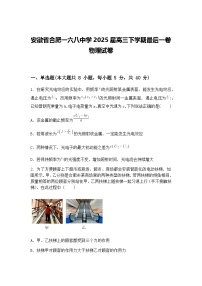 安徽省合肥一六八中学2025届高三下学期最后一卷物理试卷（含答案解析）