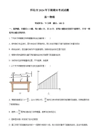 湖南省怀化市2024-2025学年高一上学期期末考试物理试题（含答案）
