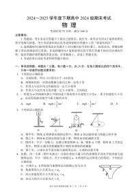 四川省成都市蓉城名校联盟2024-2025学年高一下学期期末考试物理试卷+答案