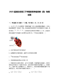 2025届湖北省高三下学期新高考信息卷（四）物理试题（含答案解析）