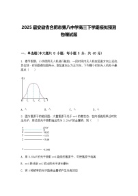 2025届安徽省合肥市第八中学高三下学期模拟预测物理试题（含答案解析）