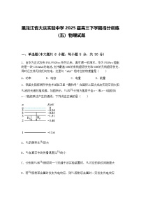 黑龙江省大庆实验中学2025届高三下学期得分训练（五）物理试题（含答案解析）