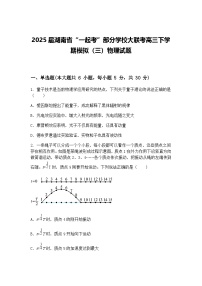 2025届湖南省“一起考”部分学校大联考高三下学期模拟（三）物理试题（含答案解析）