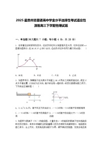2025届贵州省普通高中学业水平选择性考试适应性演练高三下学期物理试题（含答案解析）