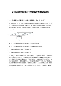 2025届贵州省高三下学期高考物理模拟试题（含答案解析）
