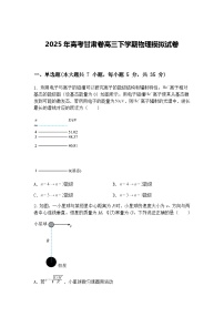 2025年高考甘肃卷高三下学期物理模拟试卷（含答案解析）