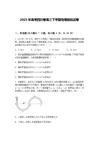 2025年高考四川卷高三下学期物理模拟试卷(含答案解析)