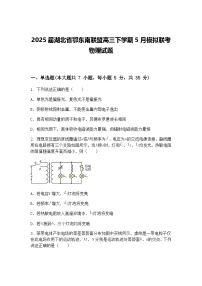 2025届湖北省鄂东南联盟高三下学期5月模拟联考物理试题(含答案解析)