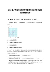 2025届广西南宁市高三下学期第三次适应性测试考前演练物理试卷（含答案解析）