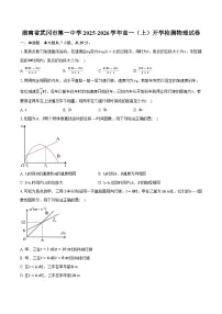 湖南省武冈市第一中学2025-2026学年高一(上)开学检测物理试卷【含答案】