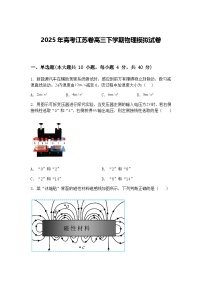 2025年高考江苏卷高三下学期物理模拟试卷（含答案解析）