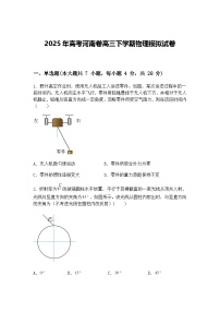 2025年高考河南卷高三下学期物理模拟试卷（含答案解析）