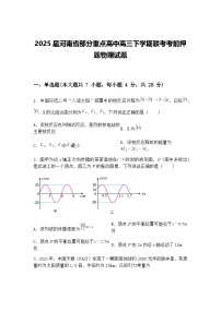 2025届河南省部分重点高中高三下学期联考考前押题物理试题（含答案解析）