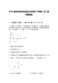 2025届河北省沧州市盐山中学高三下学期5月二模物理试题（含答案解析）