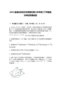 2025届湖北省武汉市黄陂区第六中学高三下学期模拟考试物理试题（含答案解析）