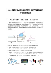 2025届四川省成都市成华区某校 高三下学期4月三诊模拟物理试题（含答案解析）