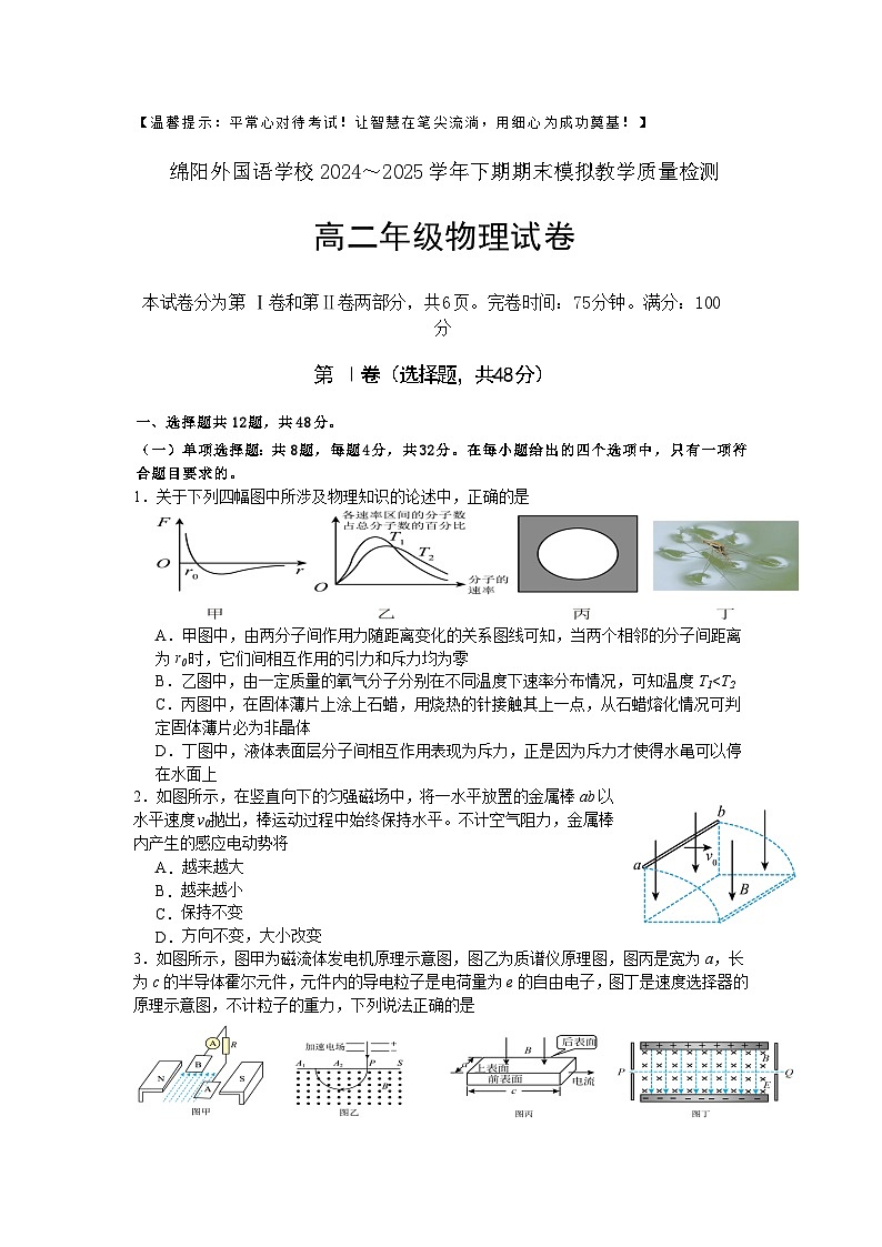 四川省绵阳外国语学校2024-2025学年高二下学期期末模拟考试物理试题第1页