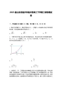 2025届山东省临沂市临沭县高三下学期三模物理试题（含答案解析）