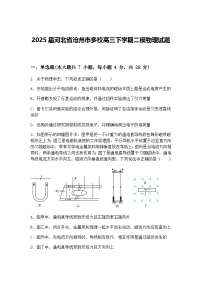 2025届河北省沧州市多校高三下学期二模物理试题（含答案解析）