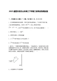 2025届四川省乐山市高三下学期三模考试物理试题（含答案解析）