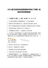 2025届江苏省常州市前黄高级中学高三下学期一模适应性考试物理试题（含答案解析）