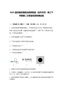 2025届河南省豫西北教研联盟（洛平许济）高三下学期第二次质量检测物理试题（含答案解析）