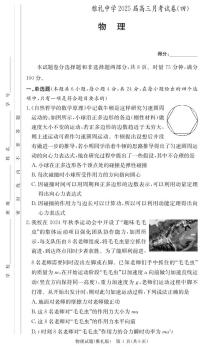 湖南省长沙市雅礼中学2024-2025学年高三上学期月考（四）物理试卷+答案