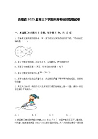 贵州省2025届高三下学期新高考模拟物理试卷（含答案解析）