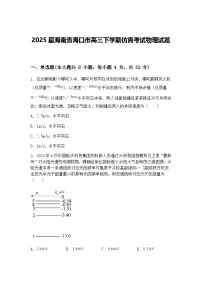 2025届海南省海口市高三下学期仿真考试物理试题(含答案解析)