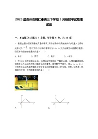 2025届贵州省铜仁市高三下学期3月模拟考试物理试题（含答案解析）